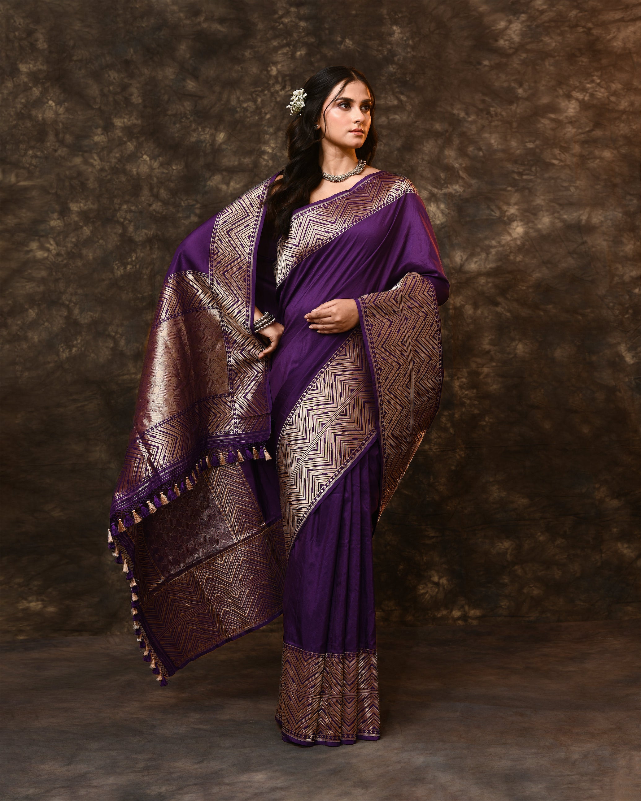 Purple Geometric Border Palla Banarsi Silk Saree