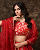 Red Banarasi Silk Lehenga with Organza Dupatta & Hand Zardosi Work | Jaal Blouse (Unstitched)