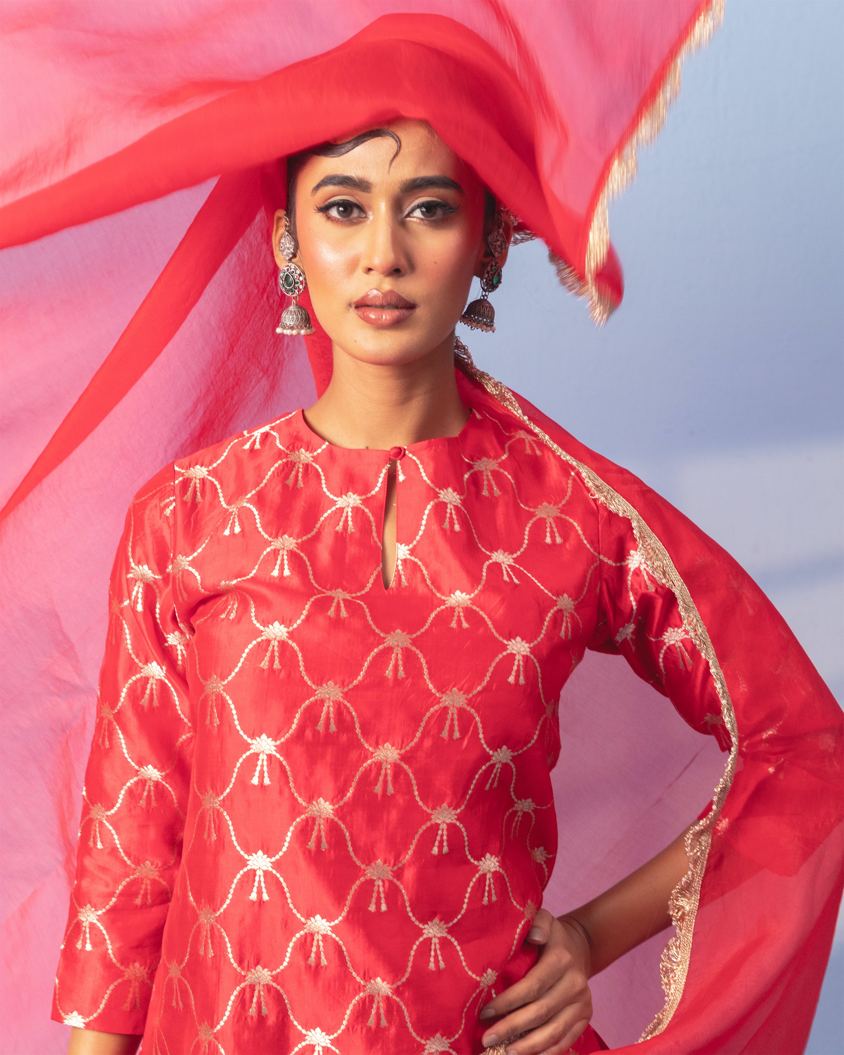 Red Banarasi Sharara Set with Organza Dupatta