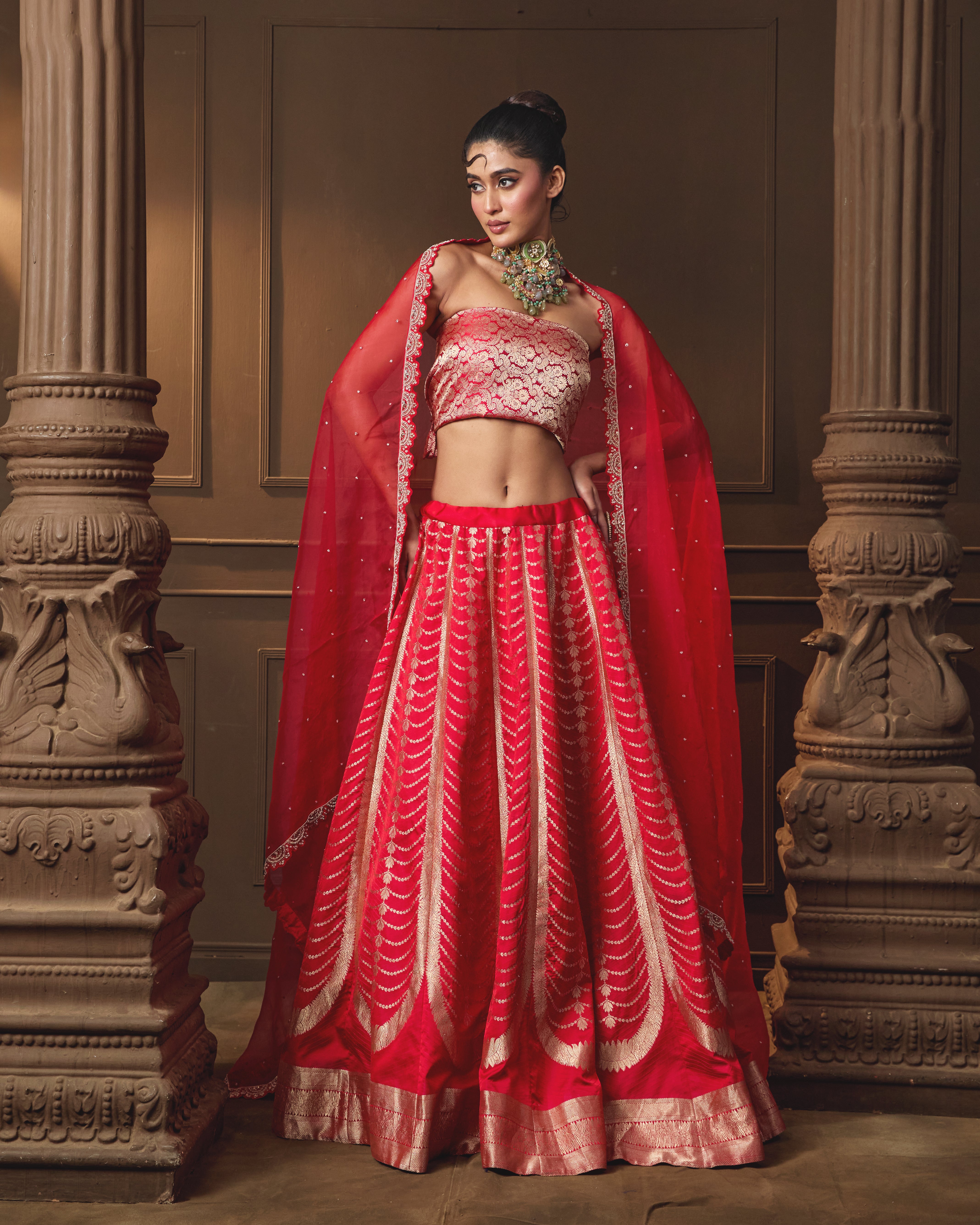 Red Banarasi Lehenga with Jaal Blouse & Hand Zardosi Organza Dupatta