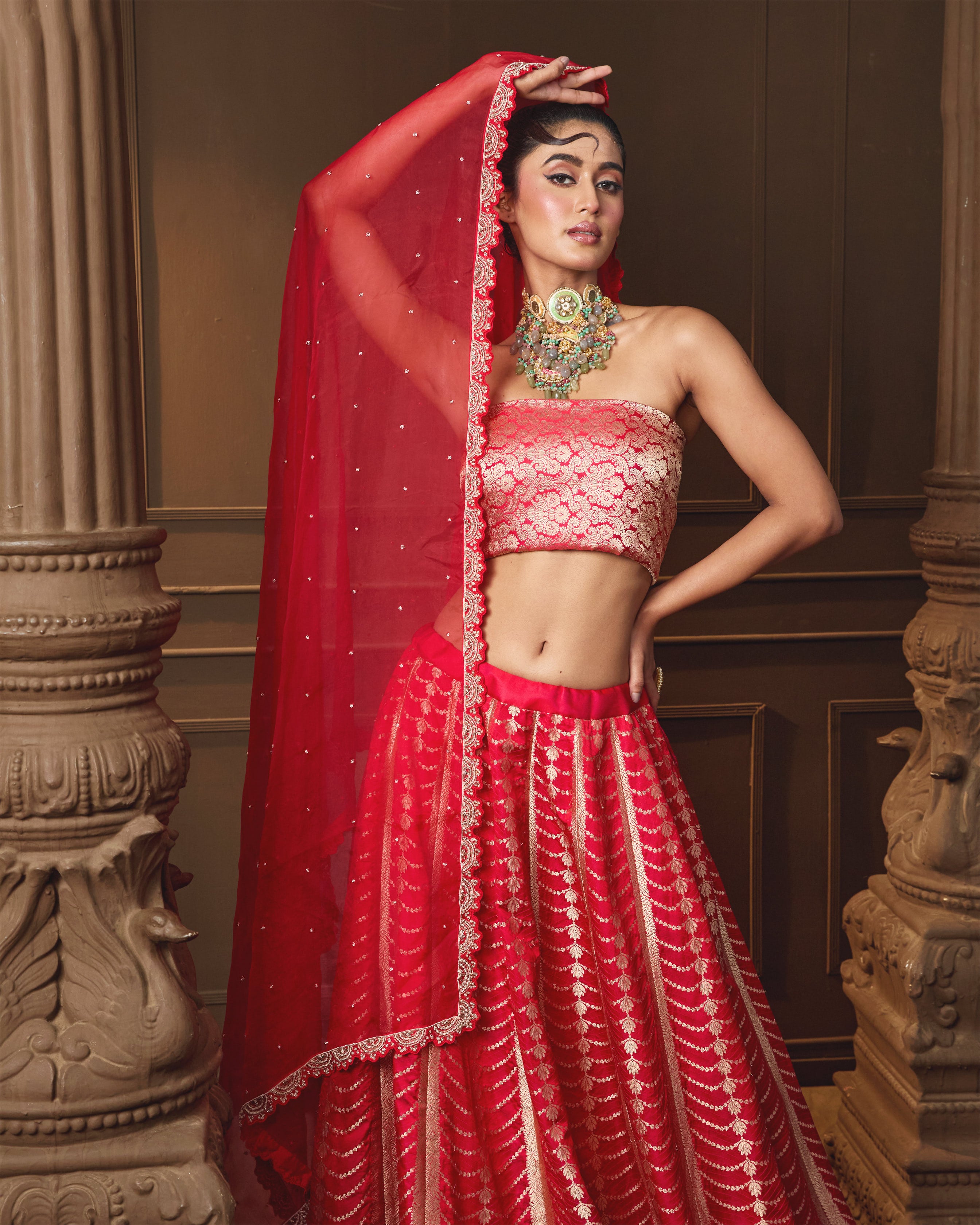 Red Banarasi Lehenga with Jaal Blouse & Hand Zardosi Organza Dupatta