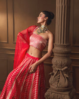 Red Banarasi Lehenga with Jaal Blouse & Hand Zardosi Organza Dupatta