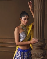 Blue Banarsi Silk Lehenga with Jaal Blouse & Double Dupatta