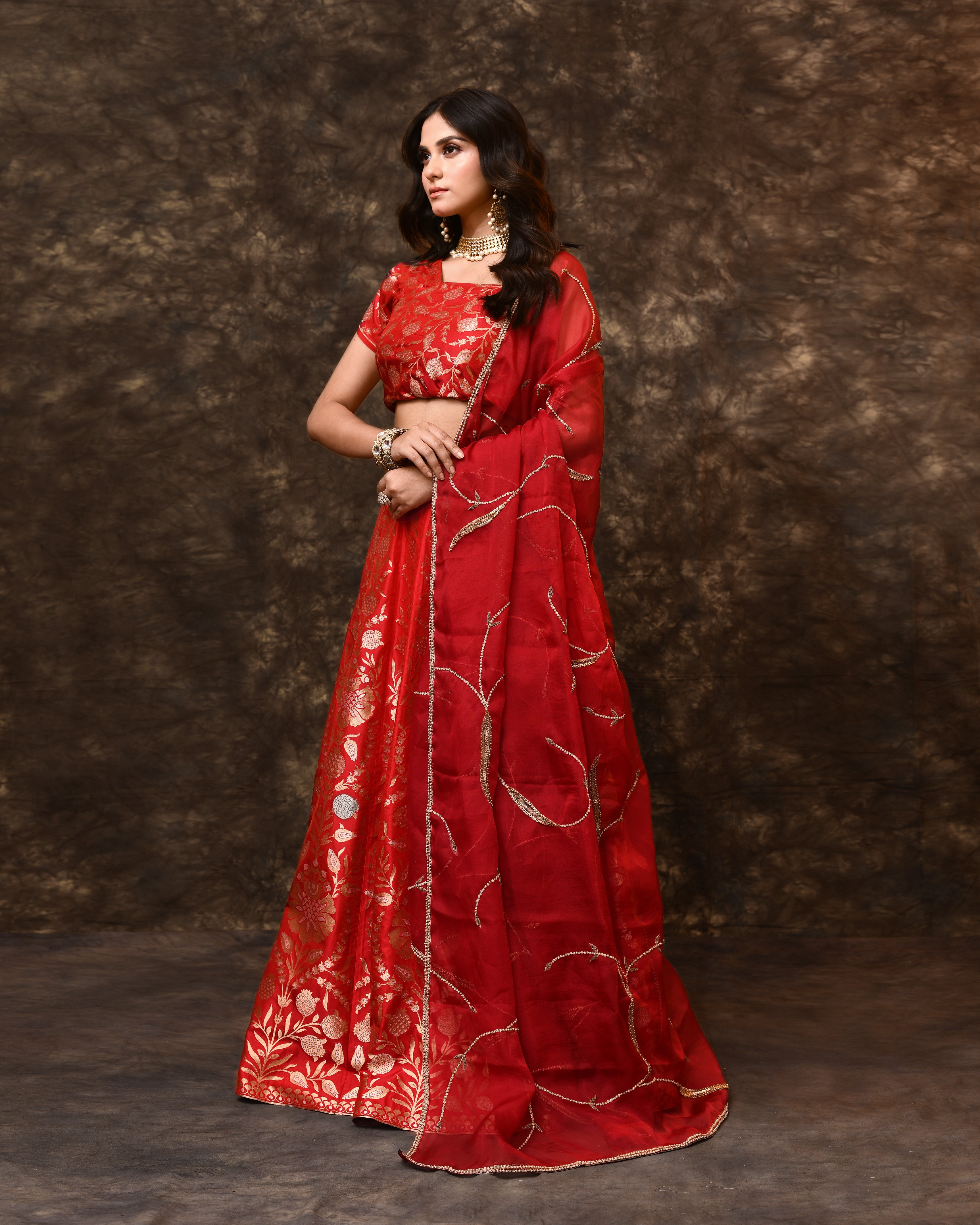 Red Banarasi Silk Lehenga with Organza Dupatta & Hand Zardosi Work | Jaal Blouse (Unstitched)