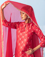 Red Banarasi Sharara Set with Organza Dupatta
