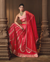 Red Banarasi Lehenga with Jaal Blouse & Hand Zardosi Organza Dupatta