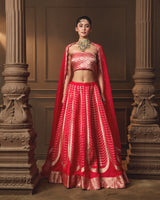Red Banarasi Lehenga with Jaal Blouse & Hand Zardosi Organza Dupatta