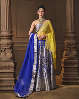 Blue Banarsi Silk Lehenga with Jaal Blouse & Double Dupatta
