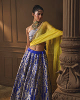 Blue Banarsi Silk Lehenga with Jaal Blouse & Double Dupatta