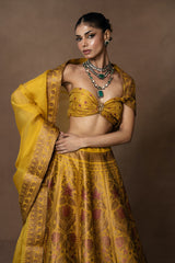 Yellow Meenakari Silk Lehenga with Organza Duppatta and Blouse Piece