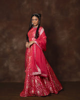 Pink Meenakari Brocade Silk Lehenga with Organza Duppatta Set